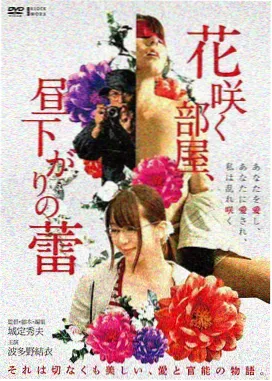 安市城韩国古装历史电影海报